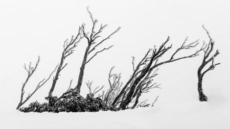 Pushing Against The Crowd