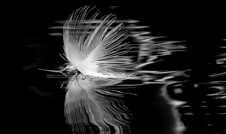 Feather Light