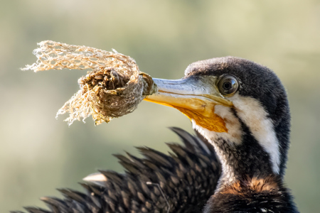 The Start Of A Slow Death