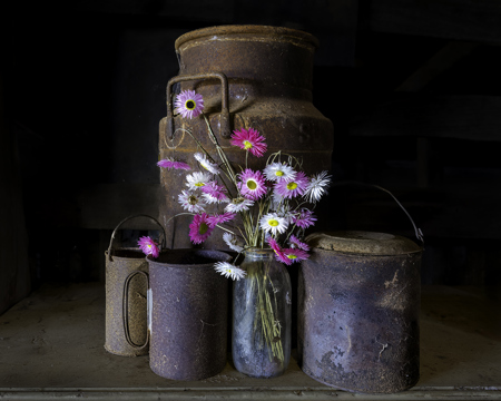 Billy And Paper Daisies