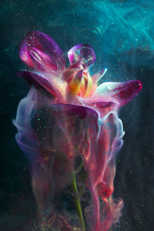 Night Flower In Acrylic