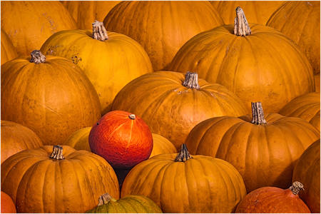 Pumpkins