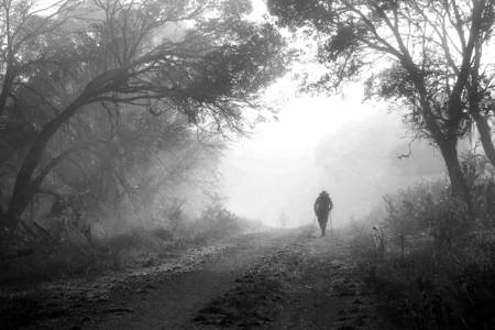 Morning Walk