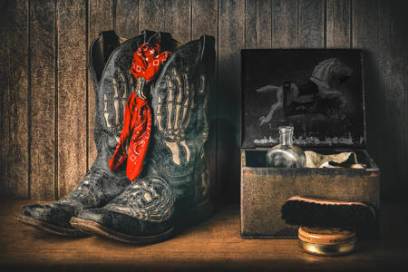 Western Stars