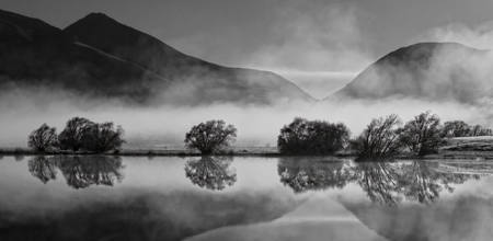 Rising Mists