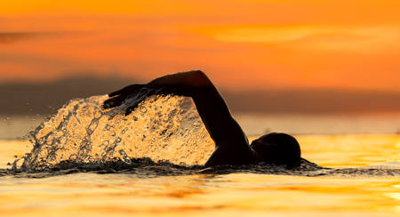 Sunrise Swim