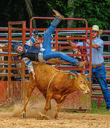 Steer Rider Going Down