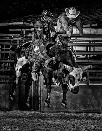 Airborne Pisgah Bull