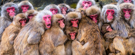 Gathering