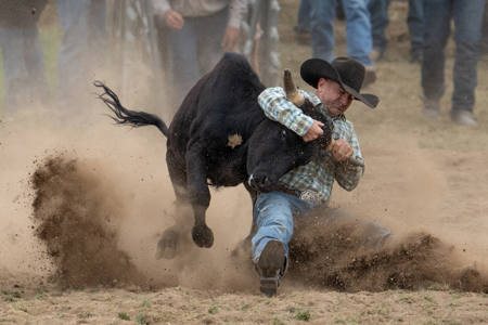 Getting The Bull By The Horns