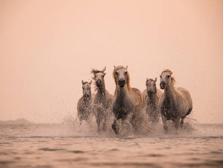 Harmony Of Momentum