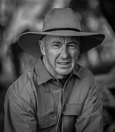 The Stock Agent