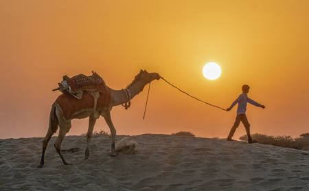 A Boy And His Camel