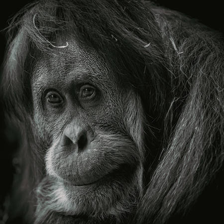 Aging Gracefully