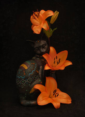 Three Lillies And A Cat