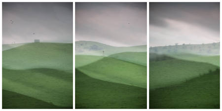 Taggerty Rolling Hills