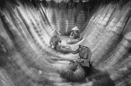 Ocean Of Nets 2