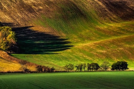 Painted By Light