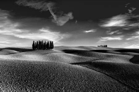 The Hills Of Val D'orcia