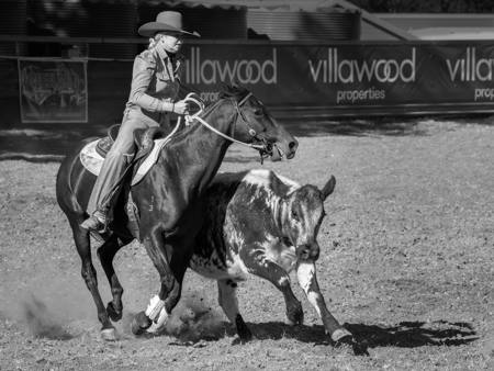 Campdraft Shouldering