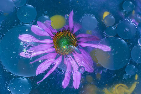 Softly Floating