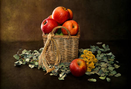 Harvest