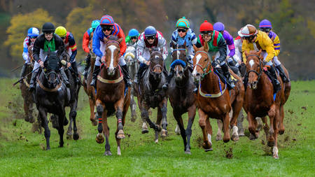 Side By Side Horse Race