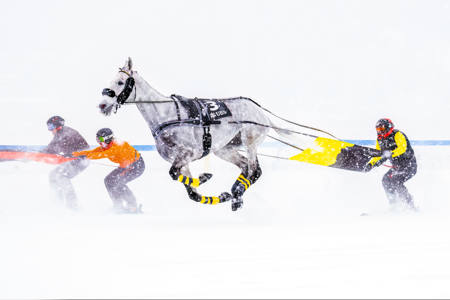 White Turf