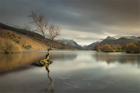 Quiet_Light_At_The_Wnters_Edge