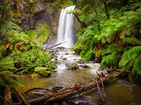Hopeton Falls