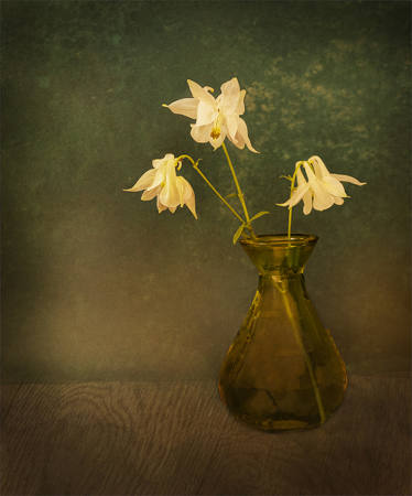 Aqualegia In Vase