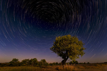 STAR-TRAIL DALLA PROVENZA