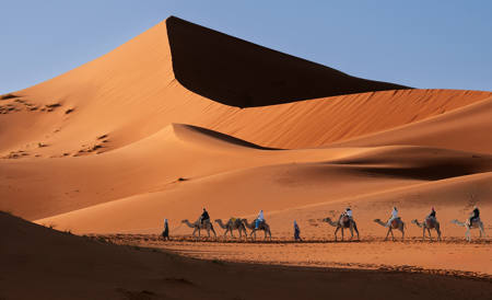 Exploring The Dunes
