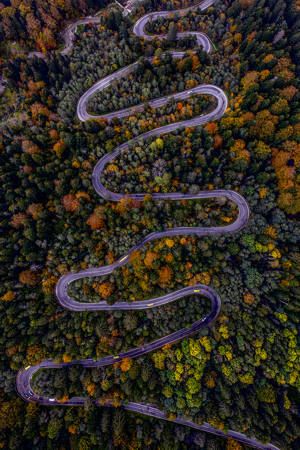 Long Way Up
