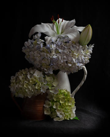 Christmas Lilly And Hydrangeas