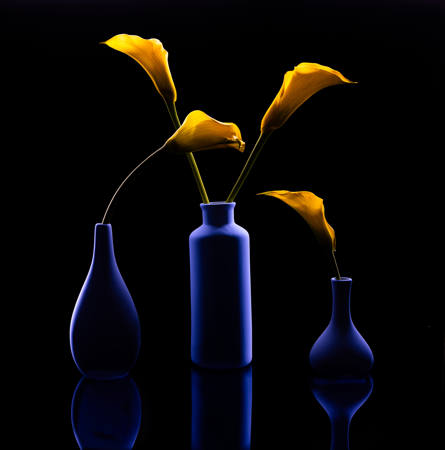 Lilies Still Life