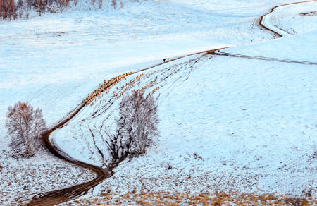 A Traveler In The Snow2