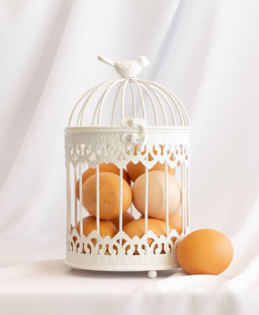 Eggs Caged Or Free Range