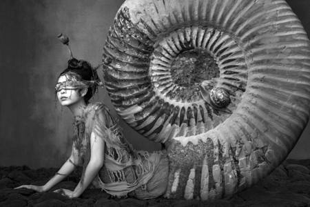 Snail