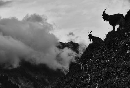 Looking To The Clouds