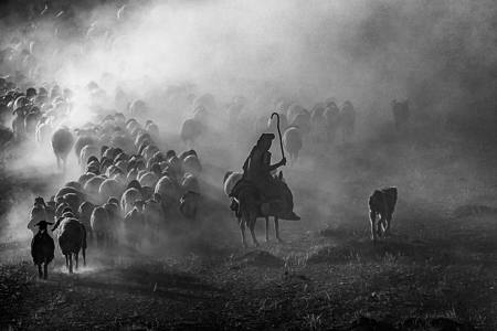 Through The Dust