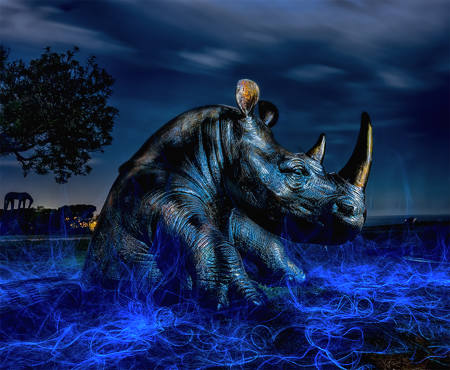 Rhinocero 2