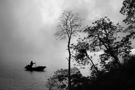 Gliding Through The Mist 2