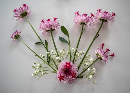 Pink And White