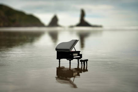 The Piano