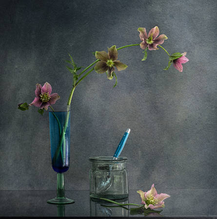 The Last Winter Rose