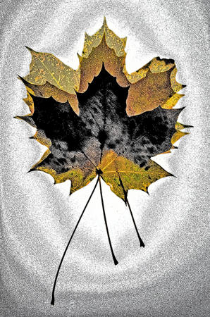Autumn Three