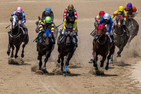 Competitive Spirit 07