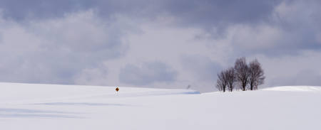 Snow And Sky