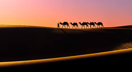 Desert Sunset